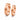 Trend-1007